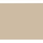 NPP/CPB 6 Beige